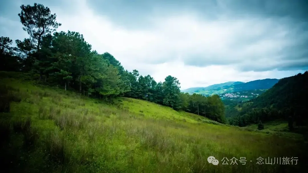 徒步小塘子村与大黄草坝村之间的夏日山野 - 第15张