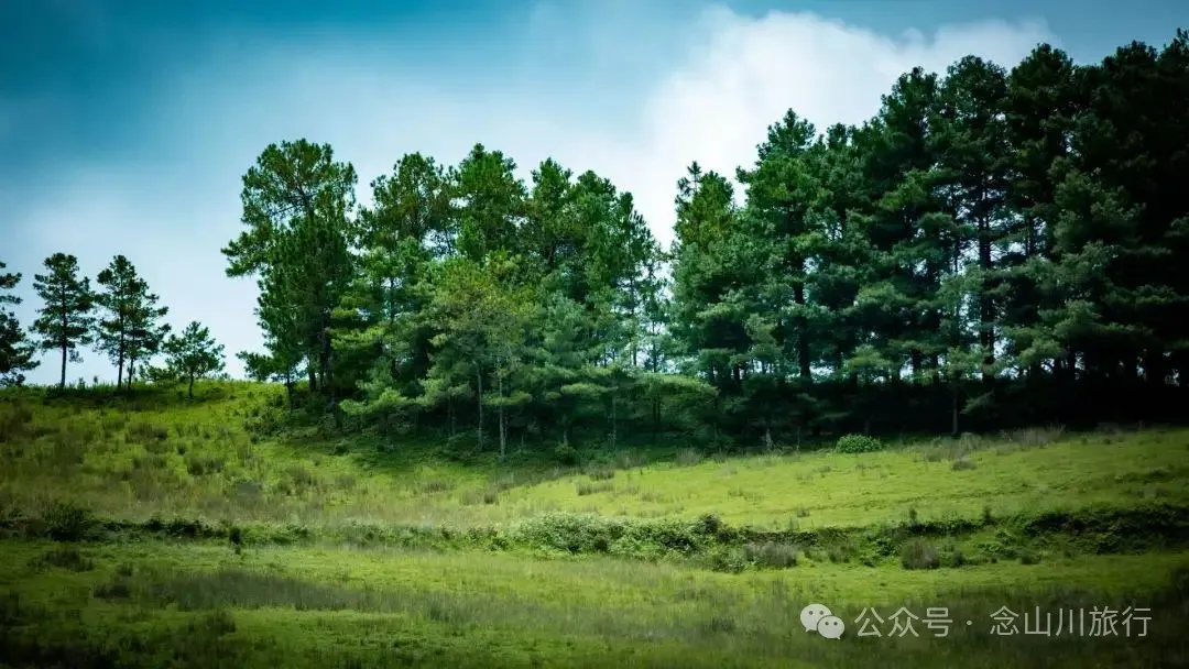 徒步小塘子村与大黄草坝村之间的夏日山野 - 第16张