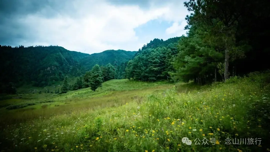 徒步小塘子村与大黄草坝村之间的夏日山野 - 第17张