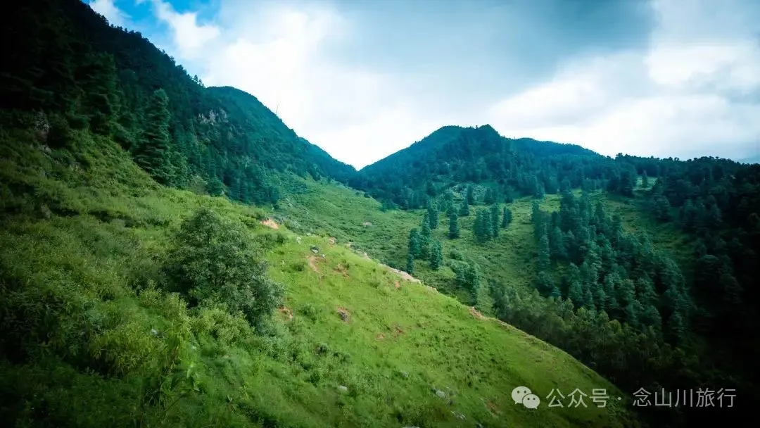 徒步小塘子村与大黄草坝村之间的夏日山野 - 第2张