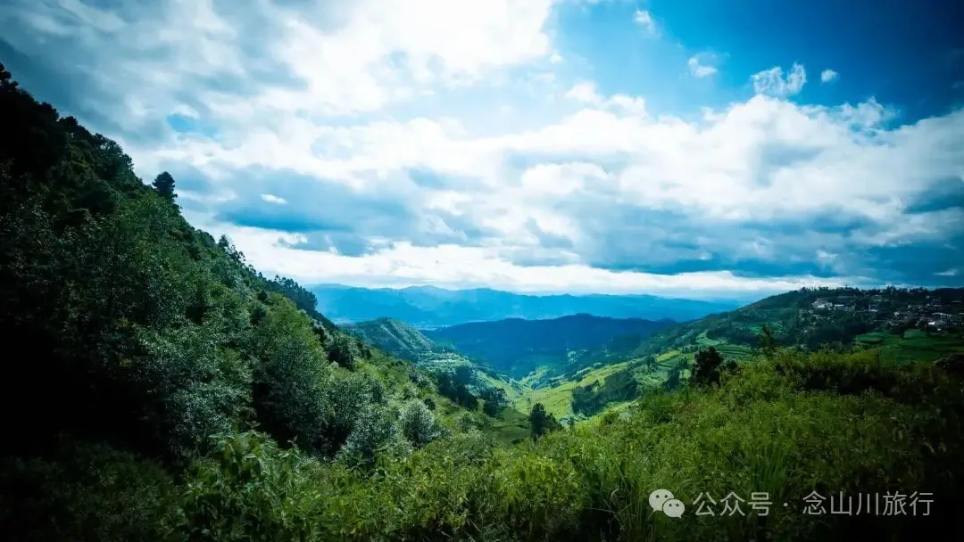 徒步小塘子村与大黄草坝村之间的夏日山野 - 第27张