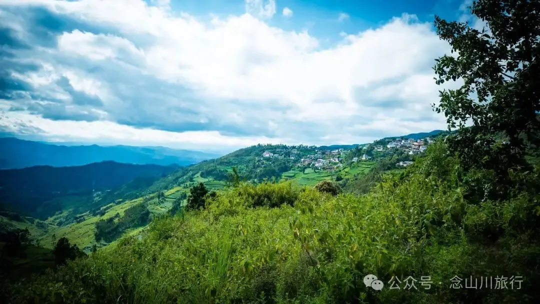 徒步小塘子村与大黄草坝村之间的夏日山野 - 第28张
