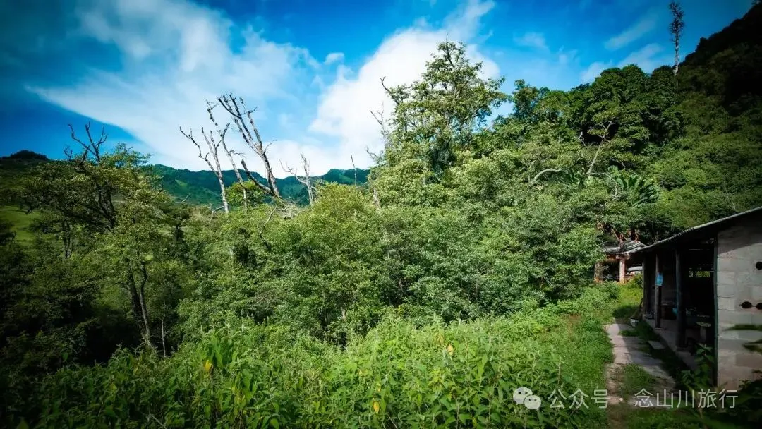 徒步小塘子村与大黄草坝村之间的夏日山野 - 第29张