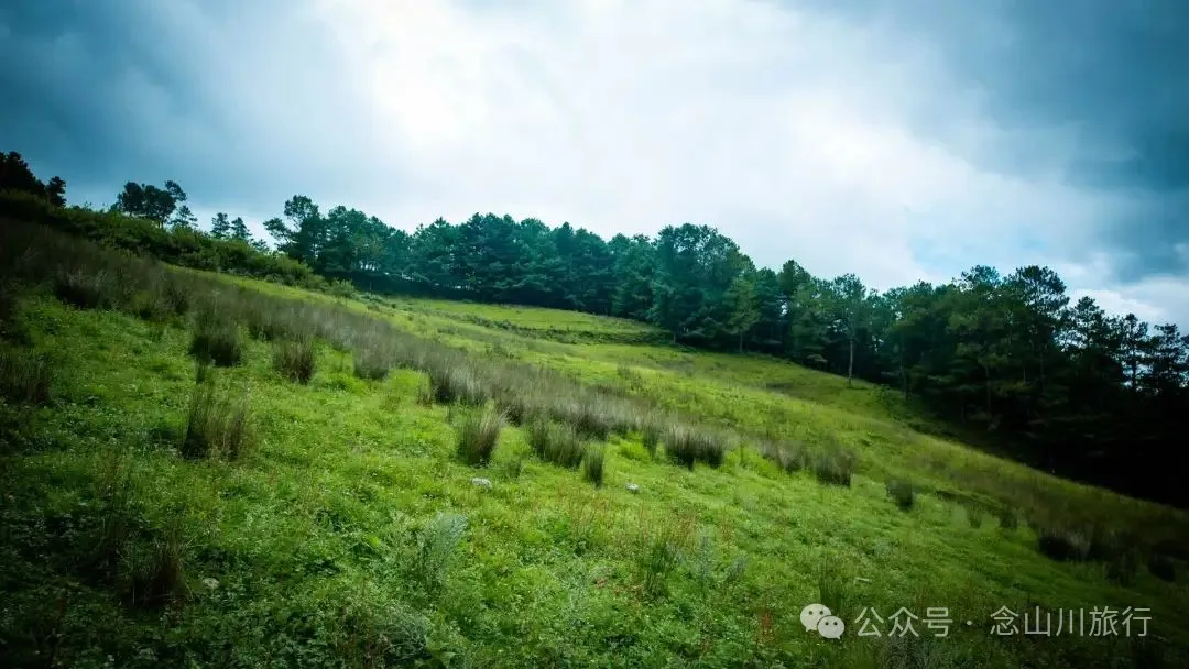 徒步小塘子村与大黄草坝村之间的夏日山野 - 第4张