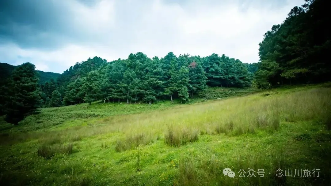 徒步小塘子村与大黄草坝村之间的夏日山野 - 第5张