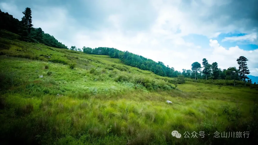 徒步小塘子村与大黄草坝村之间的夏日山野 - 第6张
