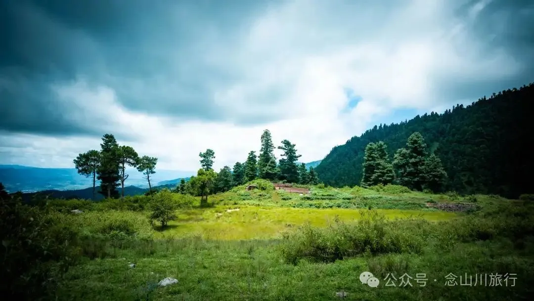 徒步小塘子村与大黄草坝村之间的夏日山野 - 第7张