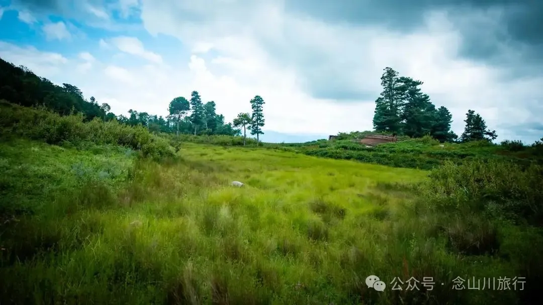 徒步小塘子村与大黄草坝村之间的夏日山野 - 第8张
