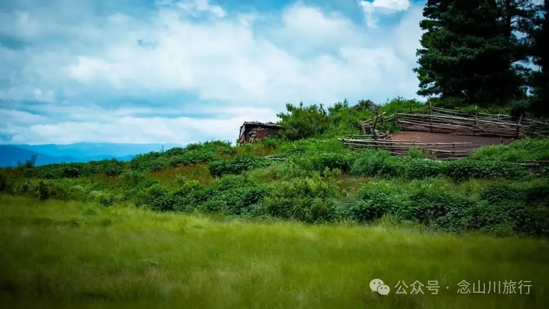 徒步小塘子村与大黄草坝村之间的夏日山野 - 第9张