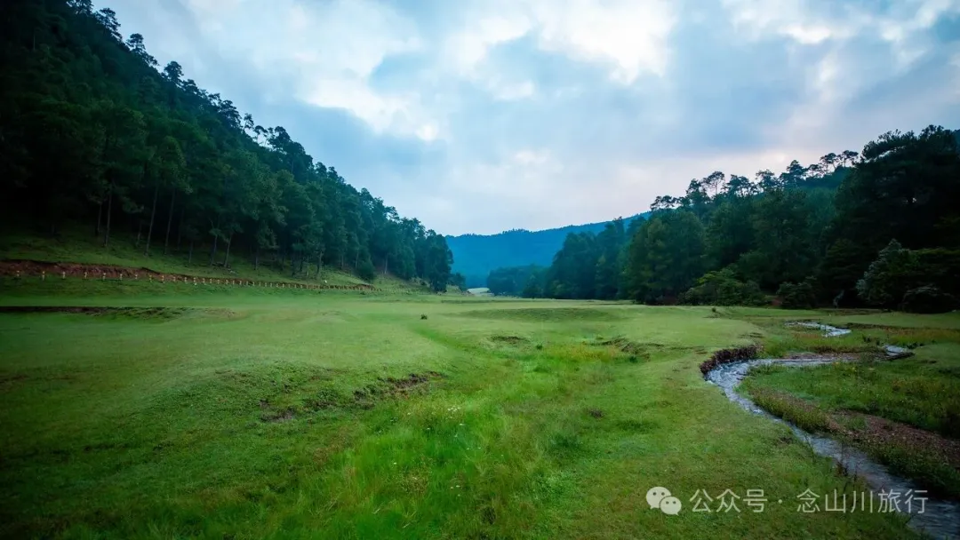 大理雲龍大浪壩露營第二幕:露水偷走星光,草甸借來初春 - 第1張