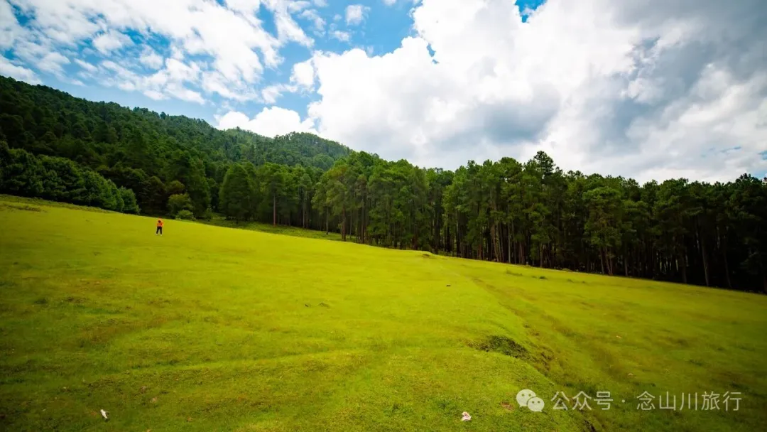 大理雲龍大浪壩露營第二幕:露水偷走星光,草甸借來初春 - 第11張