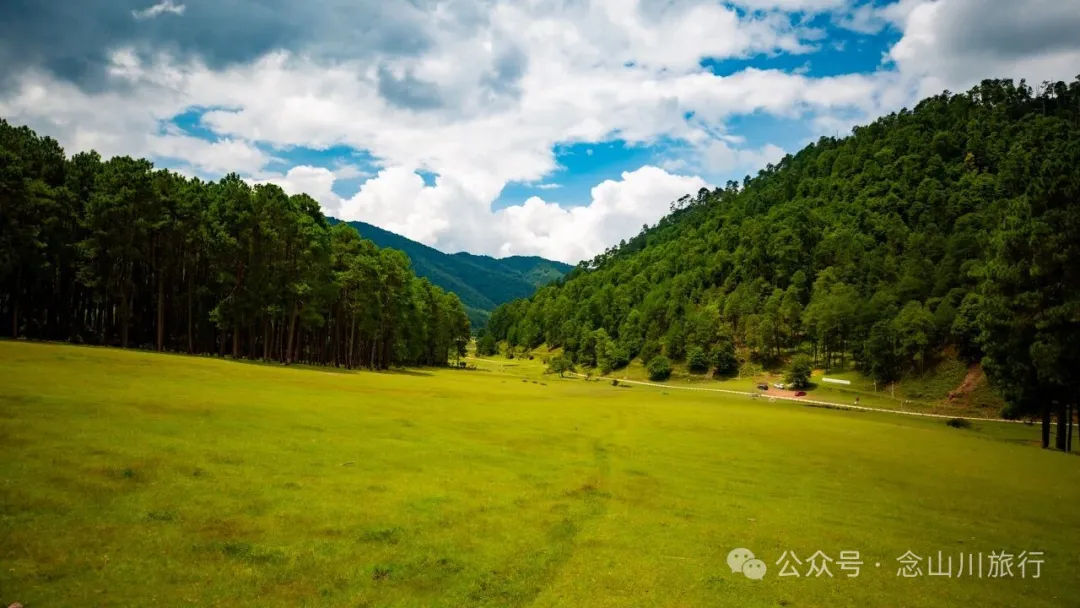 大理雲龍大浪壩露營第二幕:露水偷走星光,草甸借來初春 - 第12張