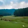 大理雲龍大浪壩露營第二幕:露水偷走星光,草甸借來初春