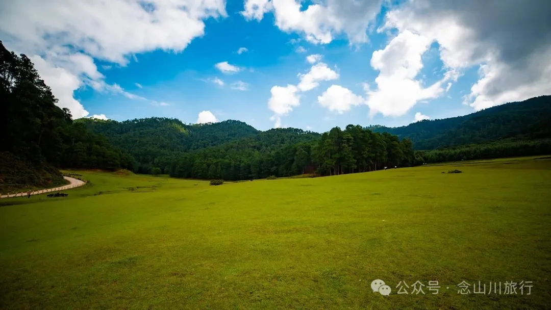 大理雲龍大浪壩露營第二幕:露水偷走星光,草甸借來初春 - 第5張