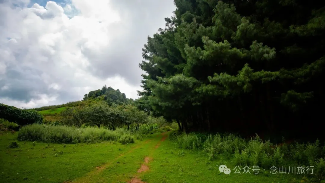 徒步火山村只有村民知晓的森林草甸:跟着二娃体验真实羊倌生活的一天 - 第10張