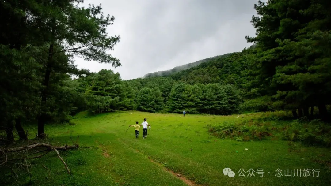 徒步火山村只有村民知晓的森林草甸:跟着二娃体验真实羊倌生活的一天 - 第14張