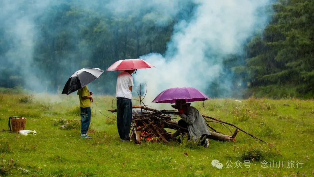 徒步火山村只有村民知晓的森林草甸:跟着二娃体验真实羊倌生活的一天 - 第16張