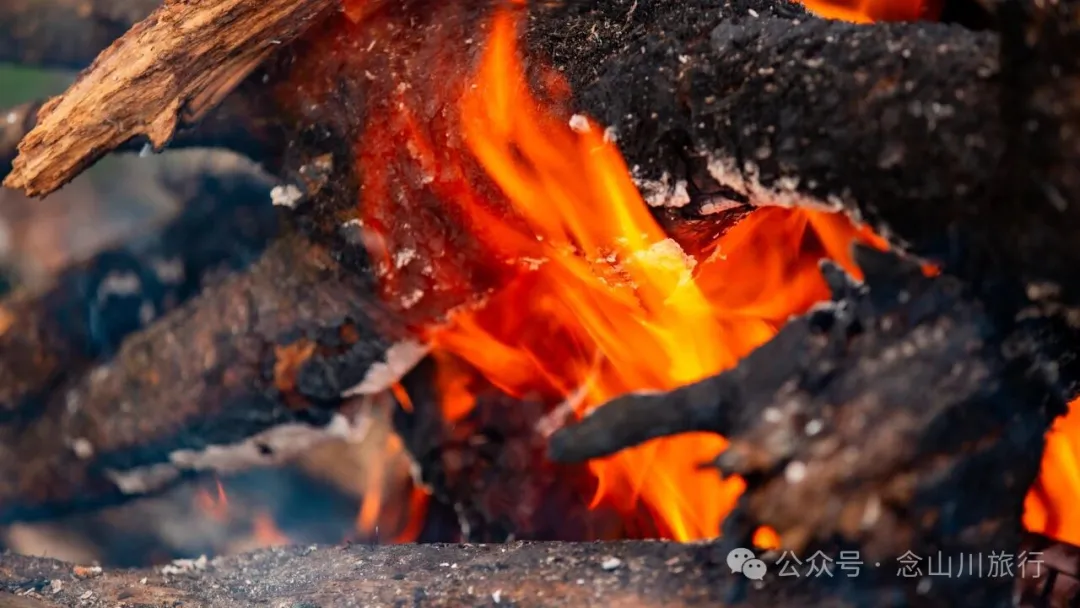 徒步火山村只有村民知晓的森林草甸:跟着二娃体验真实羊倌生活的一天 - 第20張