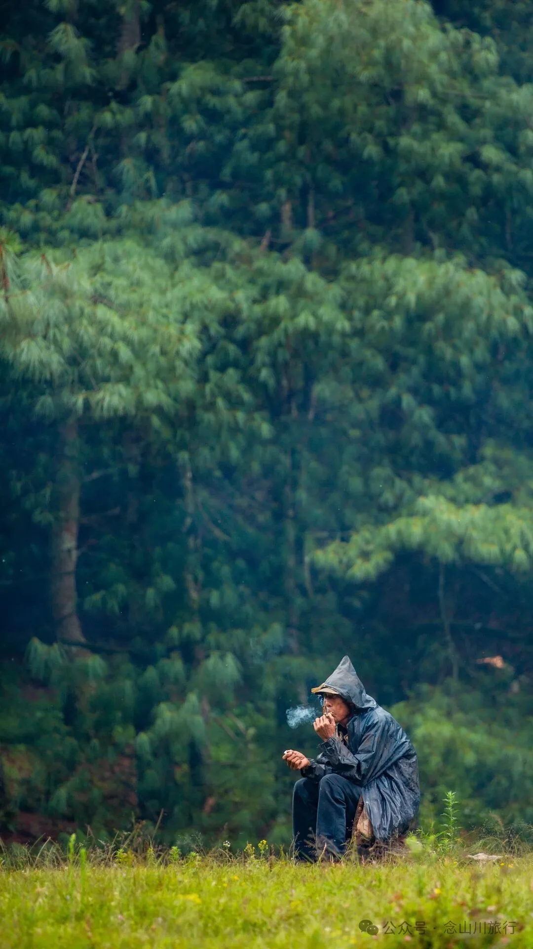 徒步火山村只有村民知晓的森林草甸:跟着二娃体验真实羊倌生活的一天 - 第30張