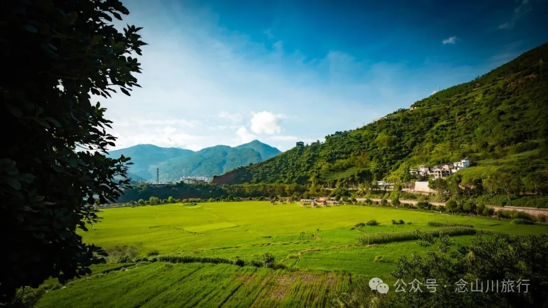 大理雲龍莊坪村：在太極圖上種水稻，在稻尖上讀春秋 - 第22張