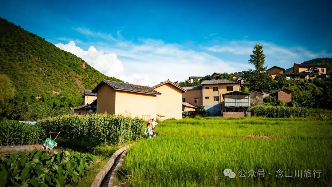 大理雲龍莊坪村：在太極圖上種水稻，在稻尖上讀春秋 - 第23張