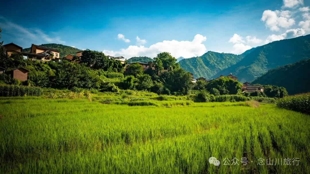 大理雲龍莊坪村：在太極圖上種水稻，在稻尖上讀春秋 - 第24張