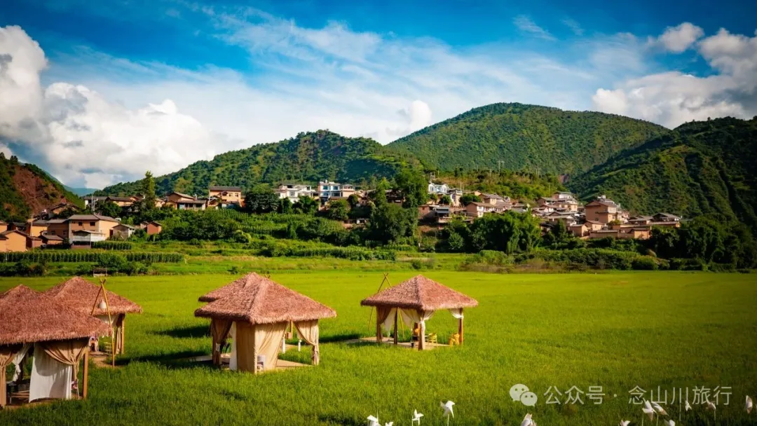 大理雲龍莊坪村：在太極圖上種水稻，在稻尖上讀春秋 - 第32張