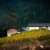靜坐雲間的藏族村落,深秋偏遇一場爛漫花開