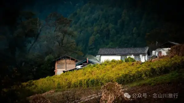 静坐云间的藏族村落,深秋偏遇一场烂漫花开