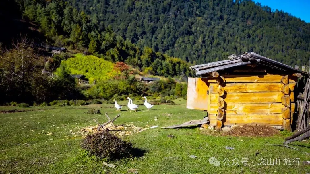 跟着溪流去山野徒步,走进巴珠自然真实的村居生活 - 第20张