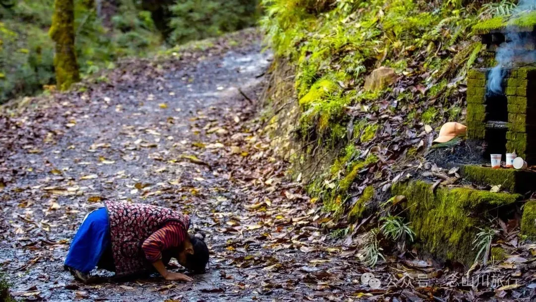 跟着溪流去山野徒步,走进巴珠自然真实的村居生活 - 第7张