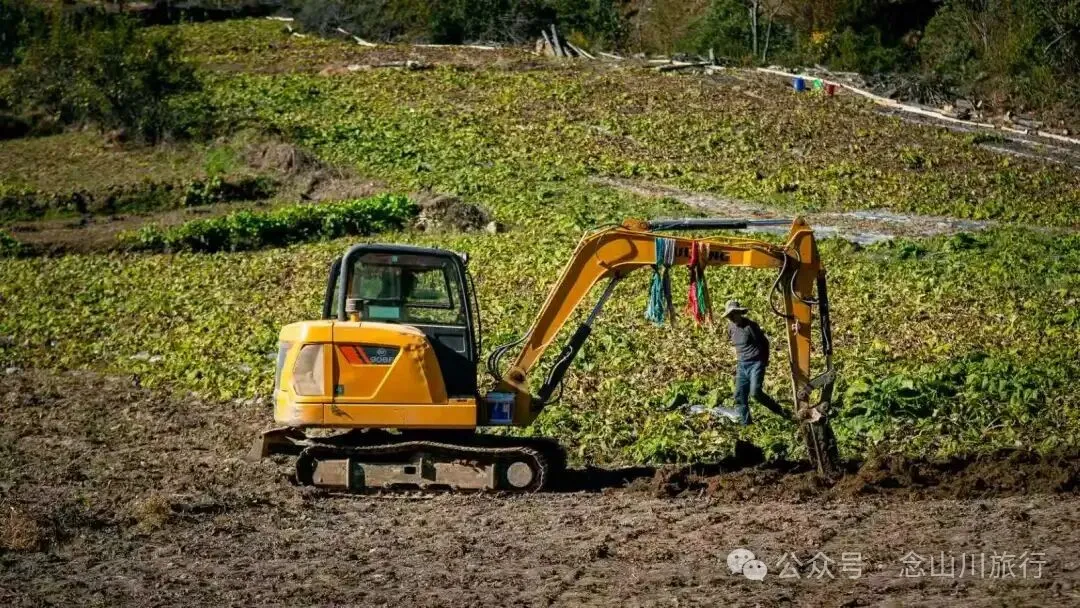 户外烧烤、爱笑的羔羊、贴膏药的小猪,秋意浓浓的微风山谷,山野里的朝九晚五全是干货 - 第5张