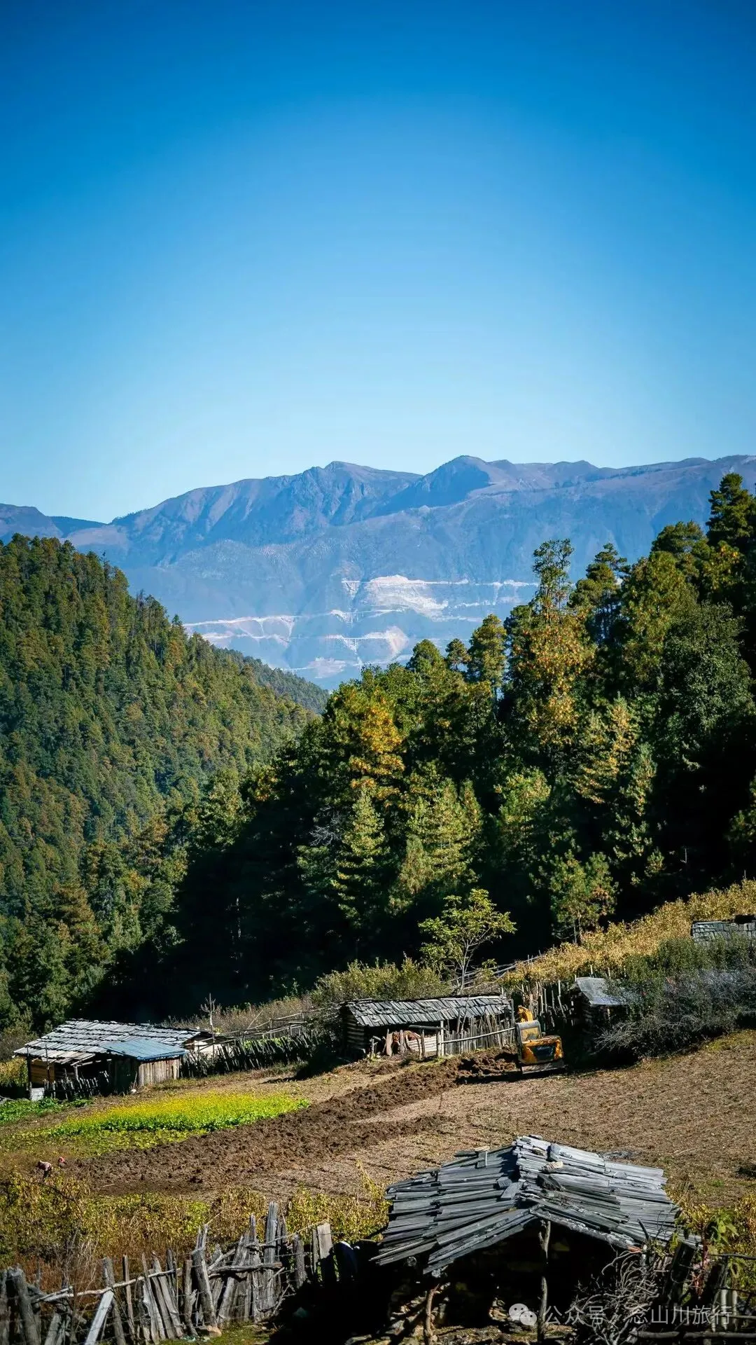 户外烧烤、爱笑的羔羊、贴膏药的小猪,秋意浓浓的微风山谷,山野里的朝九晚五全是干货 - 第9张