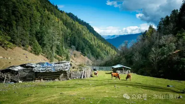 独行者的浪漫自由——走进山野,留在山野,长成山野