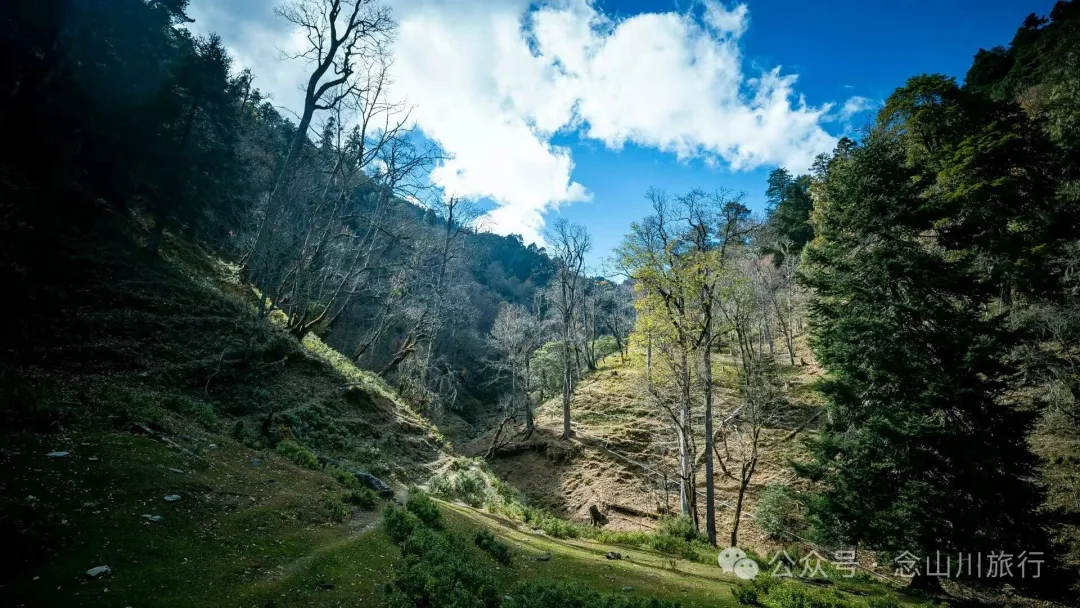 The Romantic Freedom of a Solitary Walker: Enter the Mountains, Stay in the Mountains, Grow into the Mountains - Image 12