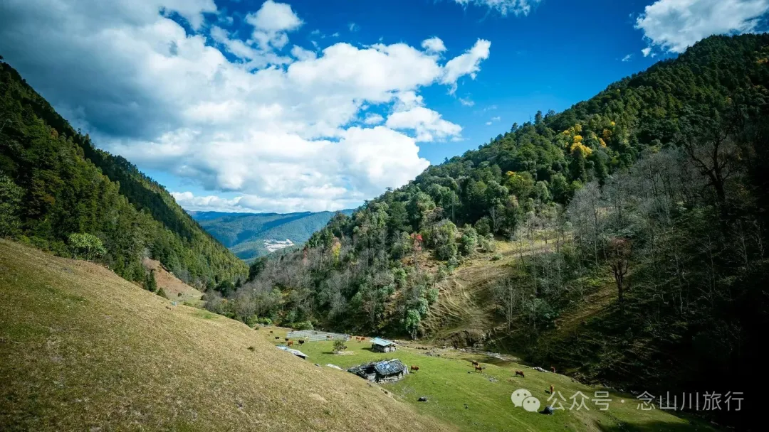 The Romantic Freedom of a Solitary Walker: Enter the Mountains, Stay in the Mountains, Grow into the Mountains - Image 19