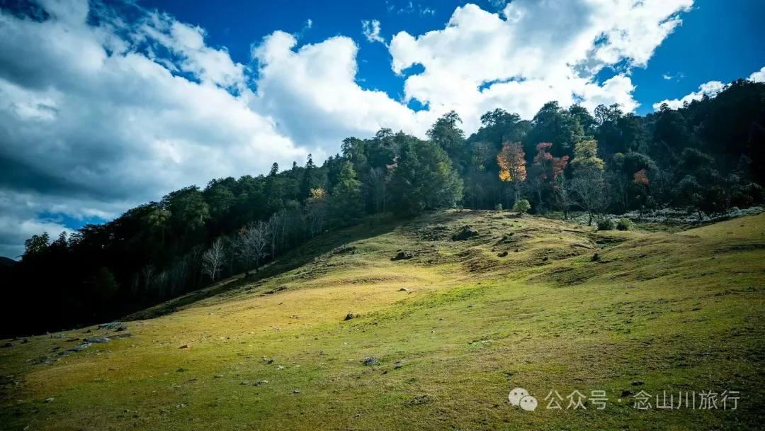 The Romantic Freedom of a Solitary Walker: Enter the Mountains, Stay in the Mountains, Grow into the Mountains - Image 23