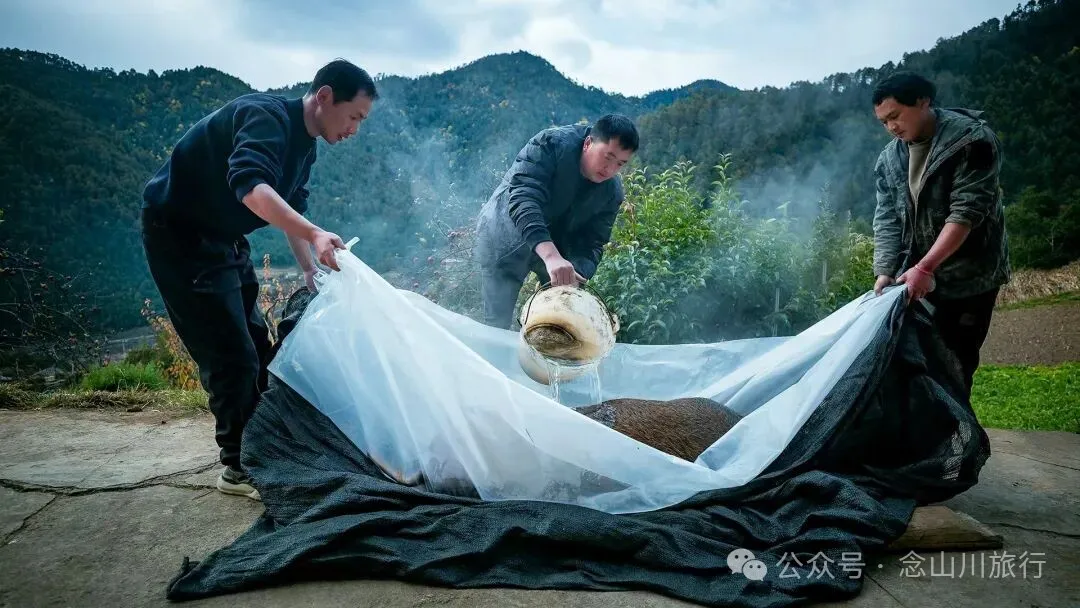 独属于云南人的美食时光——巴珠村的杀猪饭,11月中旬已热闹开启第一波 - 第6张