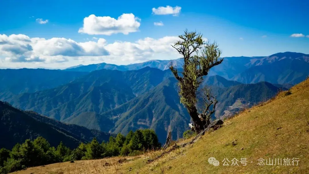 云南徒步秘境|在云岭山脉的山顶牧场,让身体与灵魂一起翱翔 - 第11张