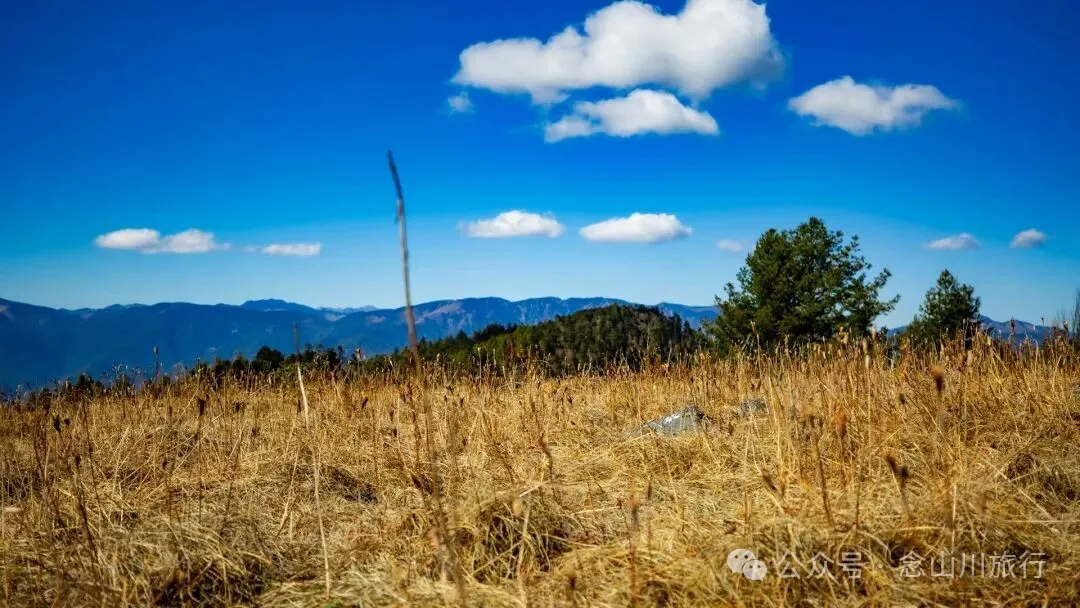 云南徒步秘境|在云岭山脉的山顶牧场,让身体与灵魂一起翱翔 - 第13张