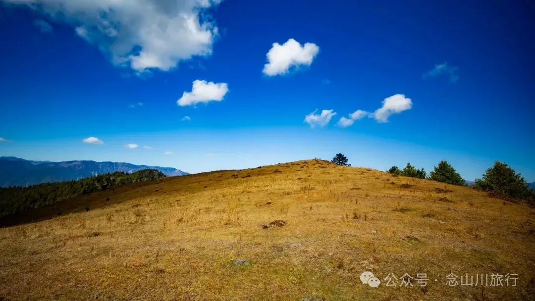 云南徒步秘境|在云岭山脉的山顶牧场,让身体与灵魂一起翱翔 - 第15张