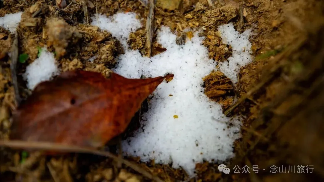 云南徒步秘境|在云岭山脉的山顶牧场,让身体与灵魂一起翱翔 - 第19张