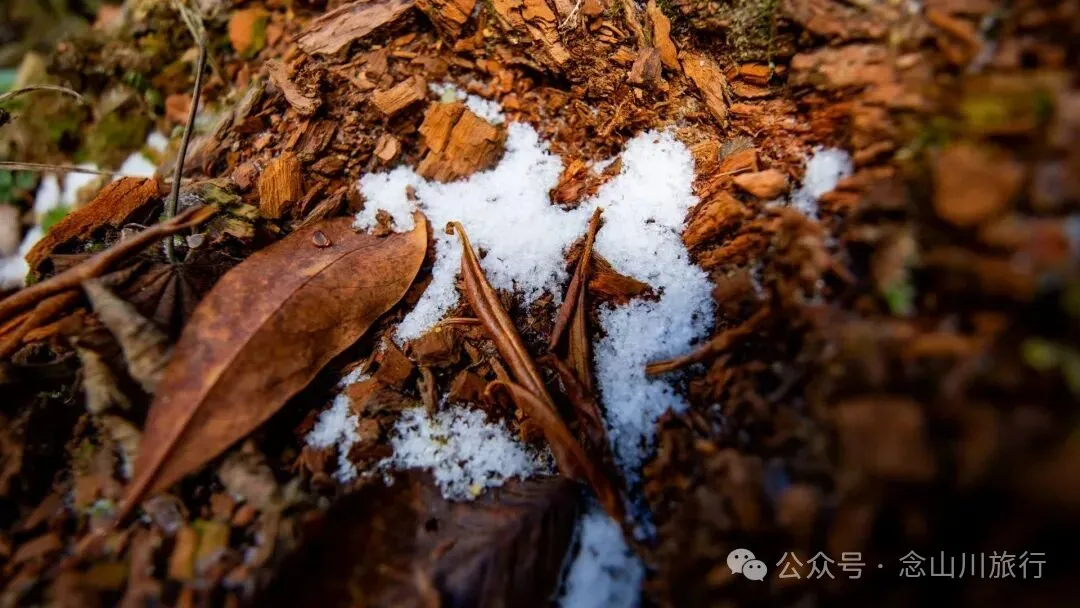 云南徒步秘境|在云岭山脉的山顶牧场,让身体与灵魂一起翱翔 - 第20张