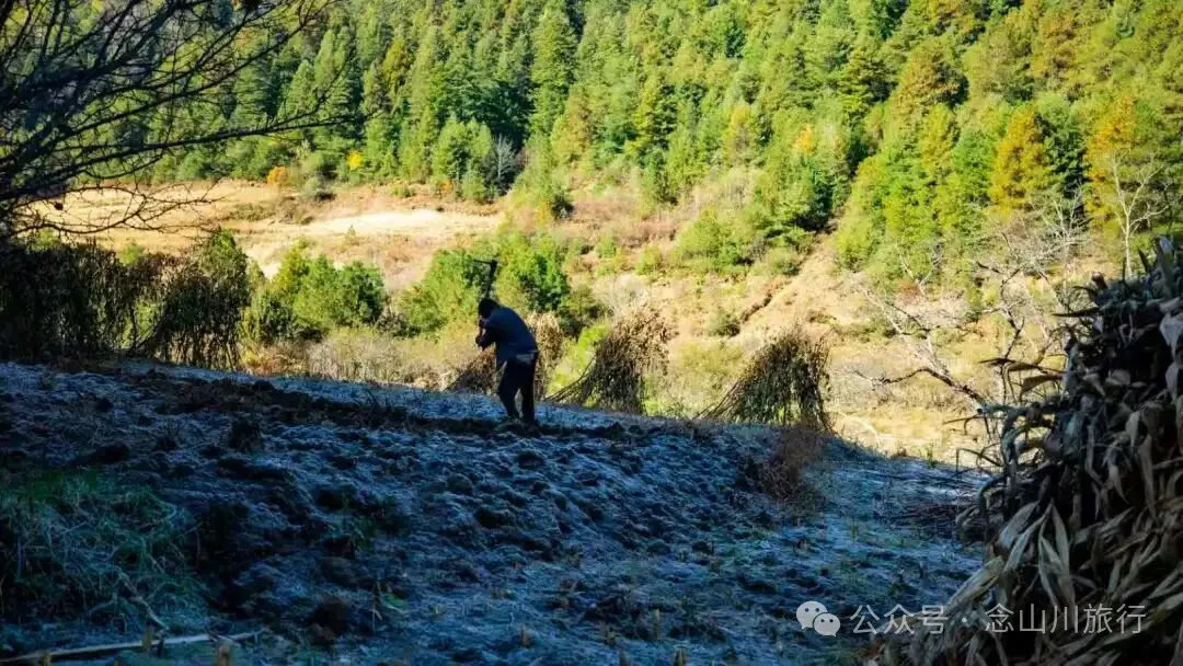 云南徒步秘境|在云岭山脉的山顶牧场,让身体与灵魂一起翱翔 - 第5张
