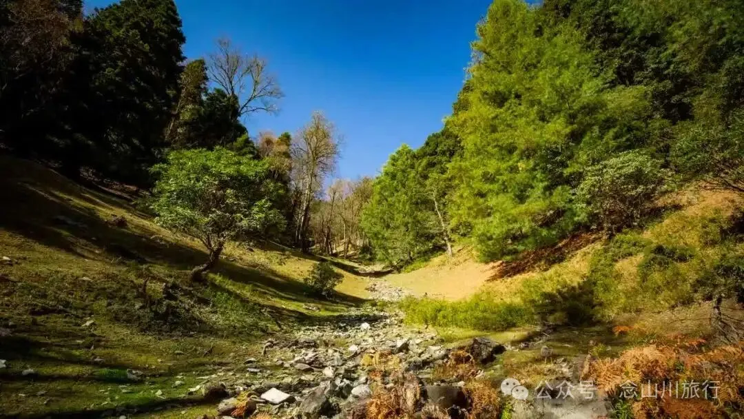 云南徒步秘境|在云岭山脉的山顶牧场,让身体与灵魂一起翱翔 - 第7张