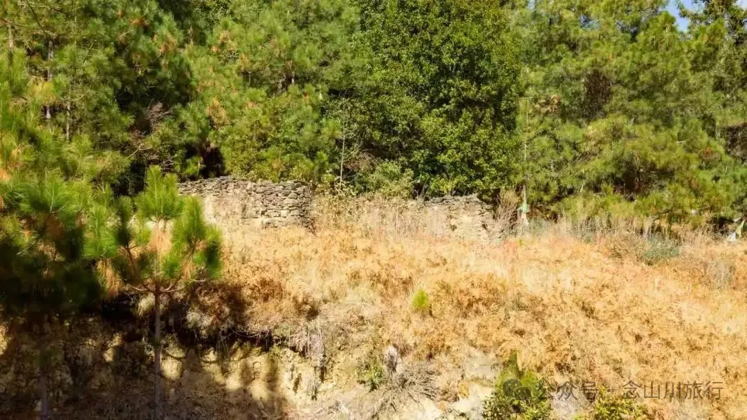 尋訪藏傳佛教寺廟達來寺,在未完工的殿堂裡,遇見一座正在進行的信仰 - 第18張