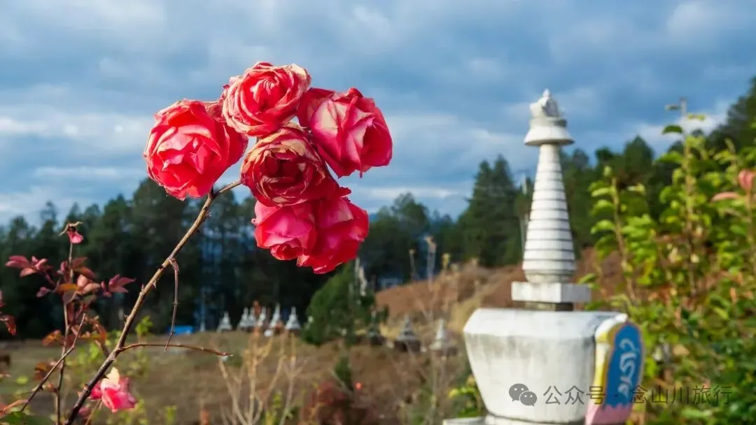 尋訪藏傳佛教寺廟達來寺,在未完工的殿堂裡,遇見一座正在進行的信仰 - 第3張