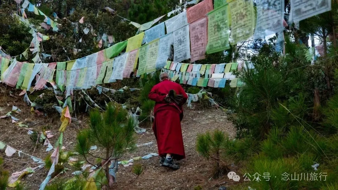 巴珠人物|達來寺主持貢秋史羅,把每一個夢境照進現實的修行人 - 第18張