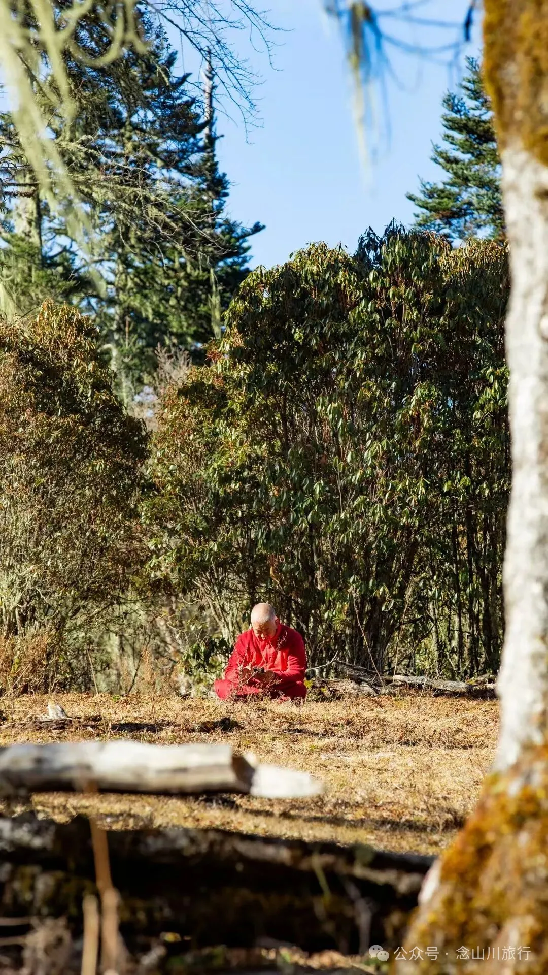 巴珠人物|達來寺主持貢秋史羅,把每一個夢境照進現實的修行人 - 第21張