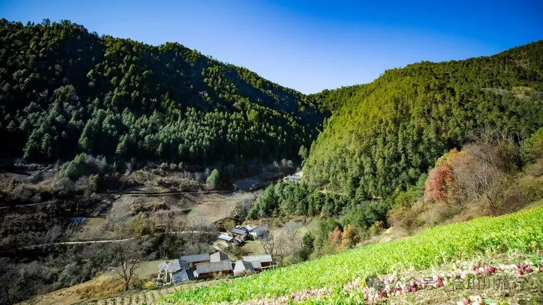巴珠人物|唱嘟传承人和庆文,为照顾家人放弃事业的退伍老兵 - 第4张